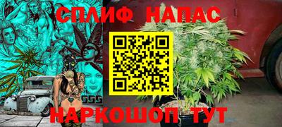 шишки Ставрополь